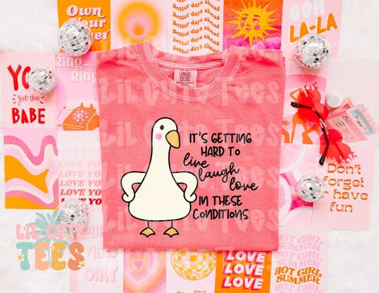 Live, Laugh, Love Goose